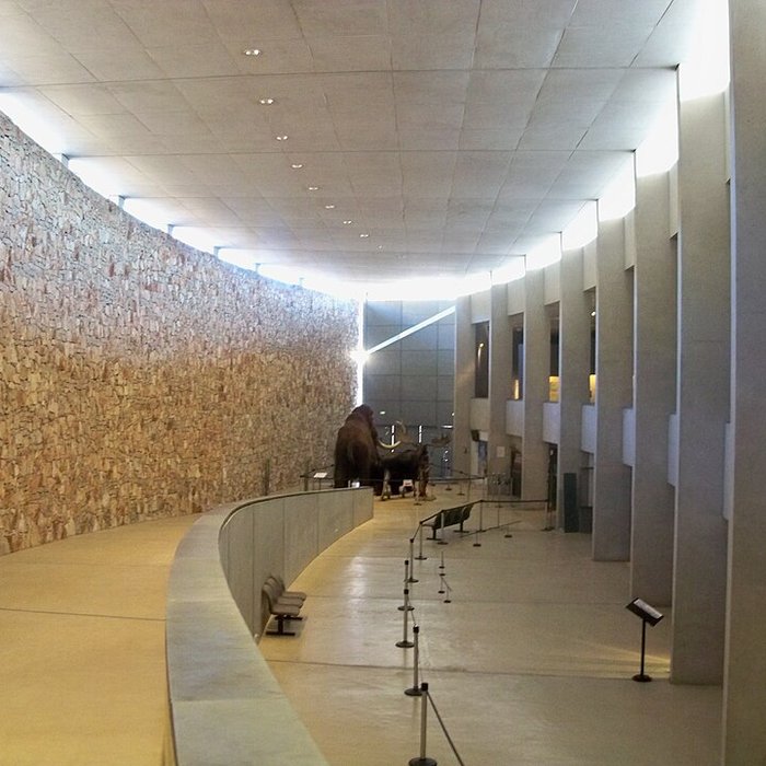 Photo de Musée départemental de préhistoire