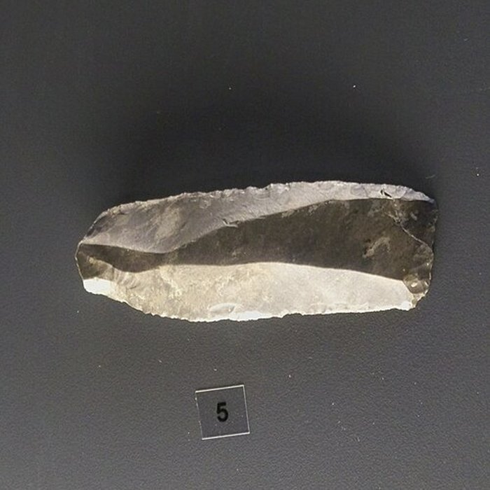 Photo de Musée départemental de préhistoire