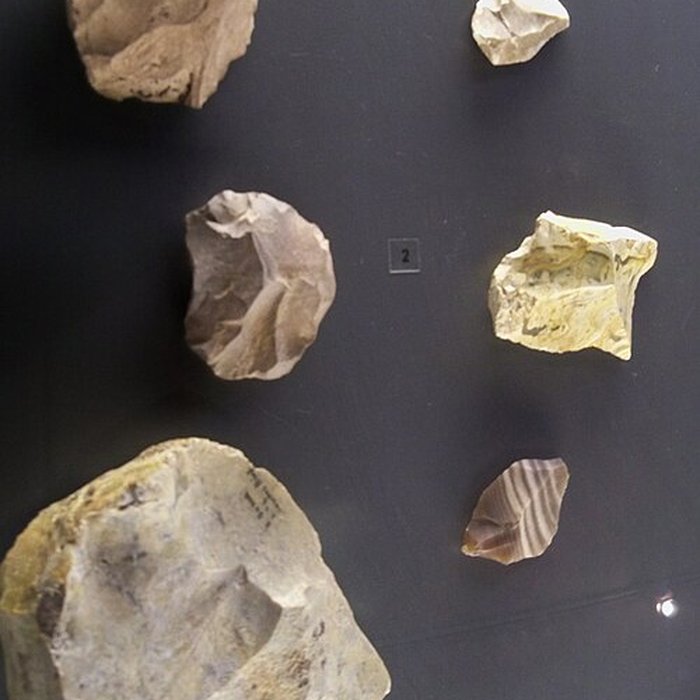 Photo de Musée départemental de préhistoire