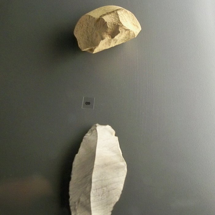 Photo de Musée départemental de préhistoire