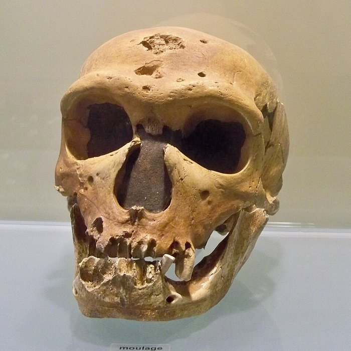 Photo de Musée départemental de préhistoire