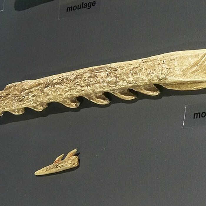 Photo de Musée départemental de préhistoire