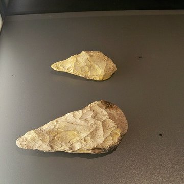 Musée départemental de préhistoire