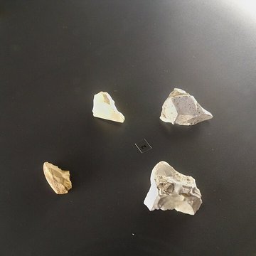 Musée départemental de préhistoire