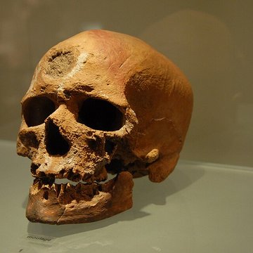 Musée départemental de préhistoire