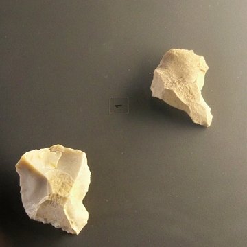 Musée départemental de préhistoire