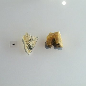 Musée départemental de préhistoire