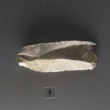 Musée départemental de préhistoire