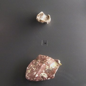 Musée départemental de préhistoire