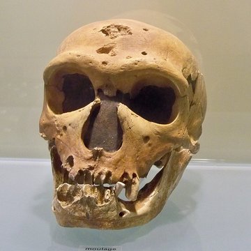 Musée départemental de préhistoire