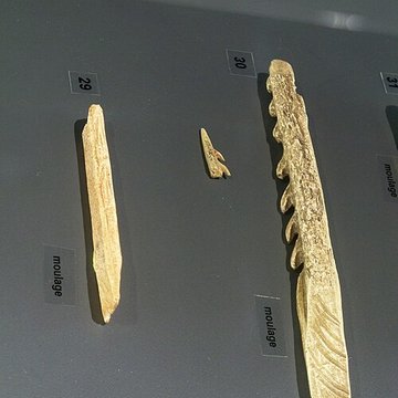 Musée départemental de préhistoire