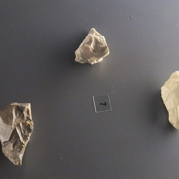 Musée départemental de préhistoire