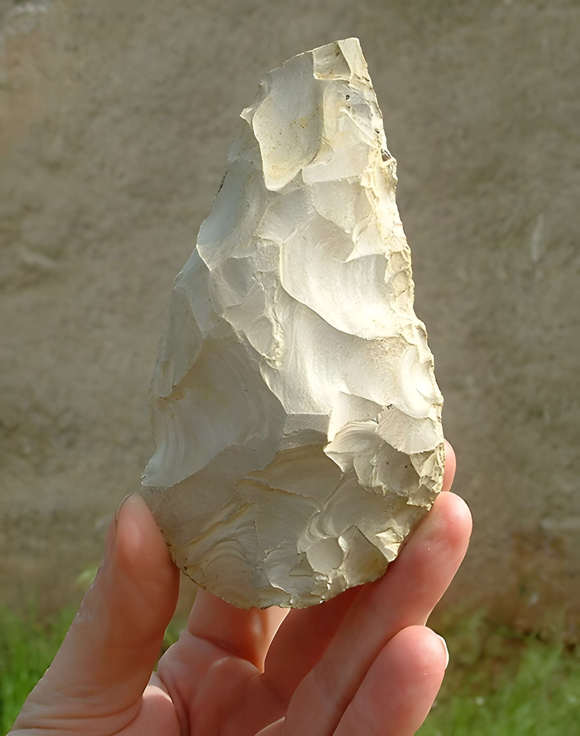 Musée départemental de préhistoire