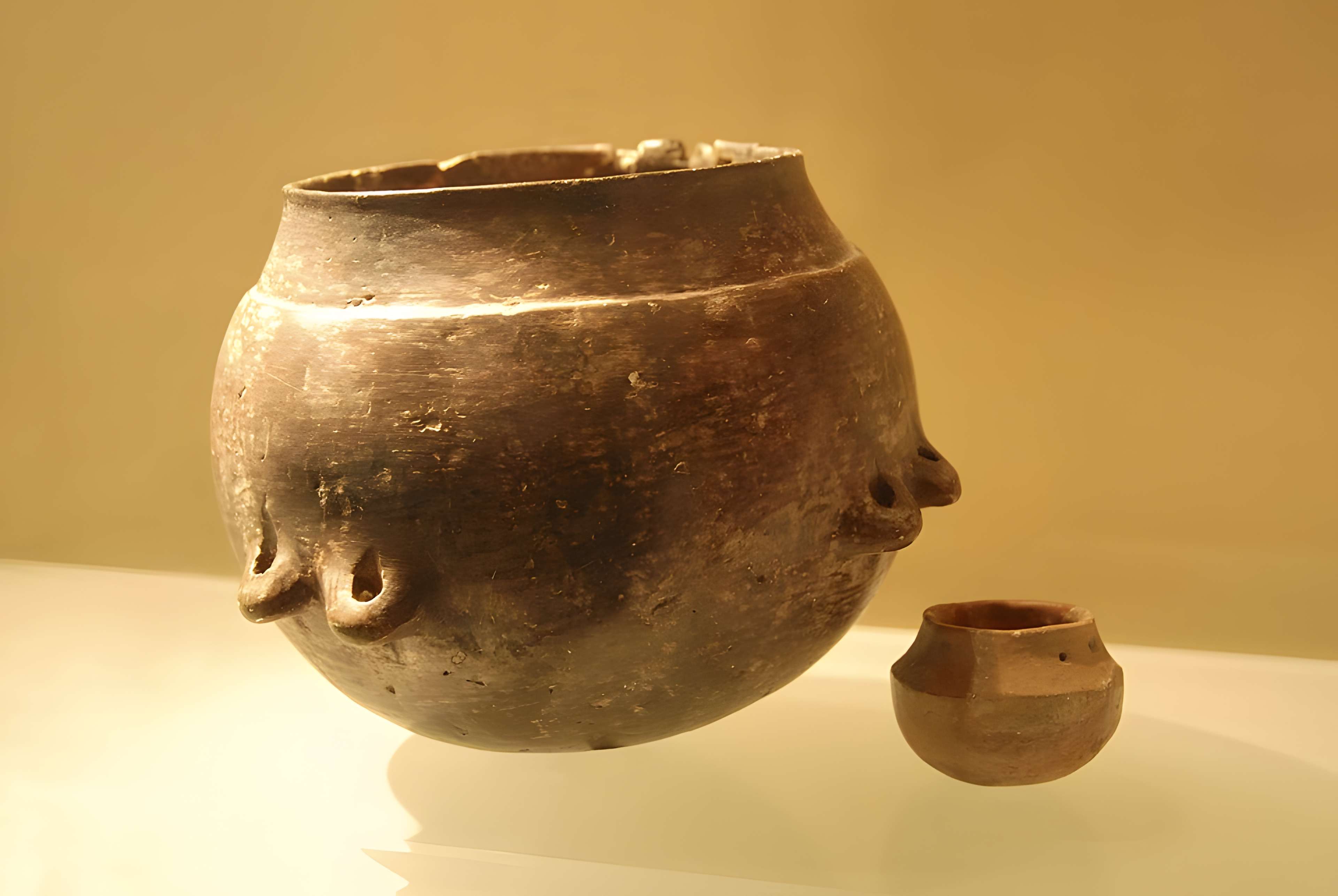 Musée départemental de préhistoire