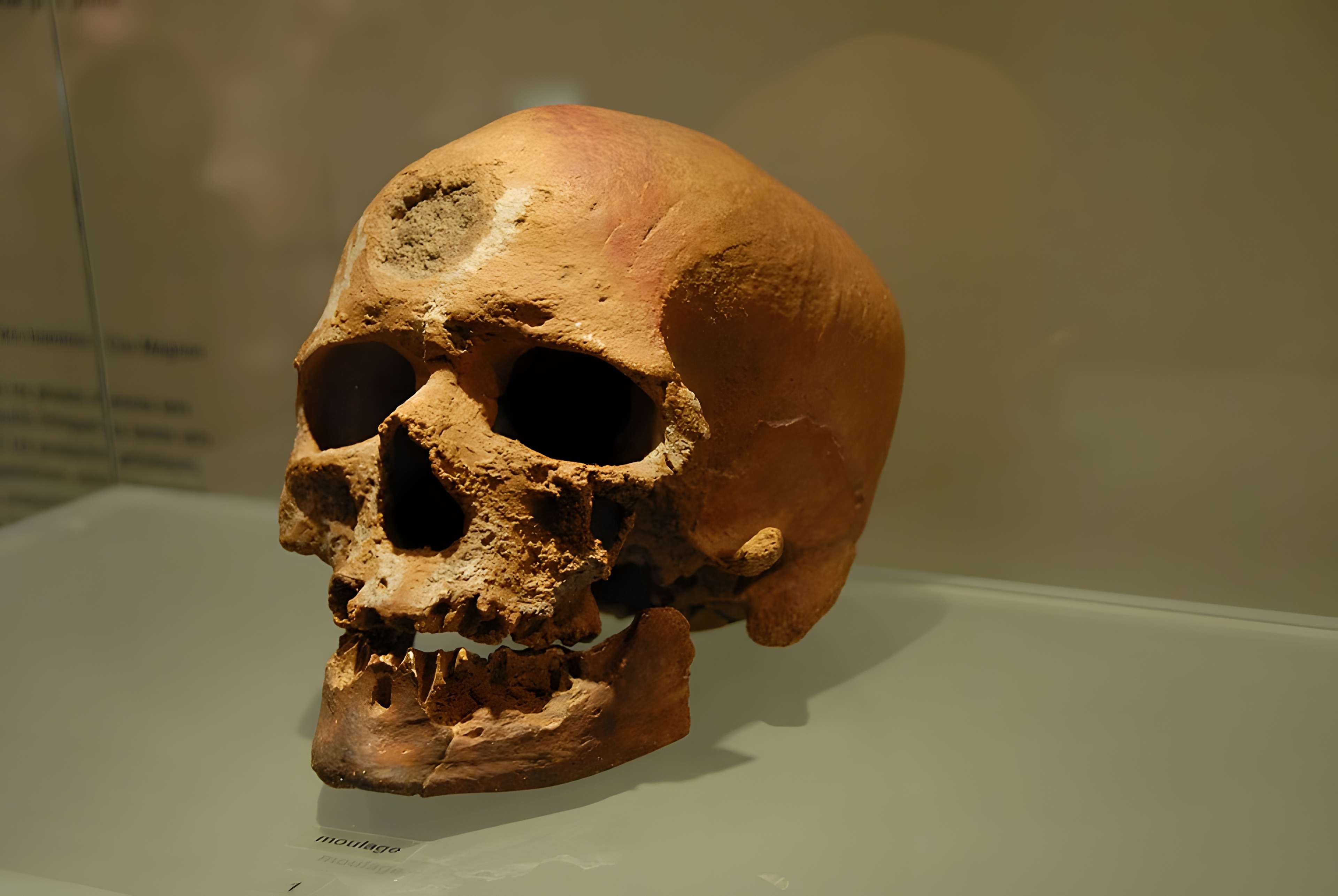 Musée départemental de préhistoire