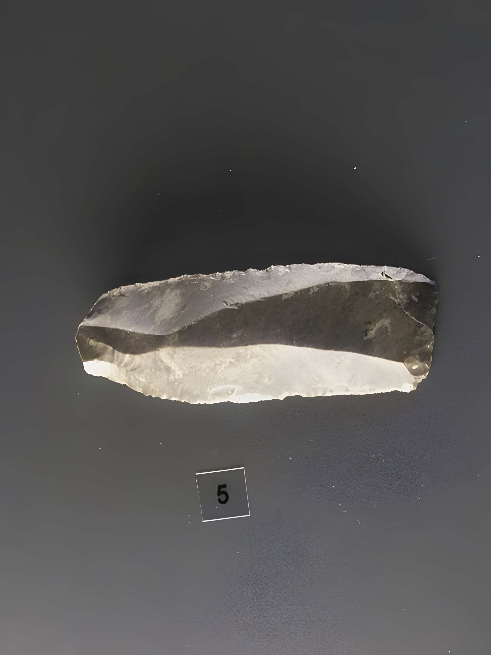 Musée départemental de préhistoire