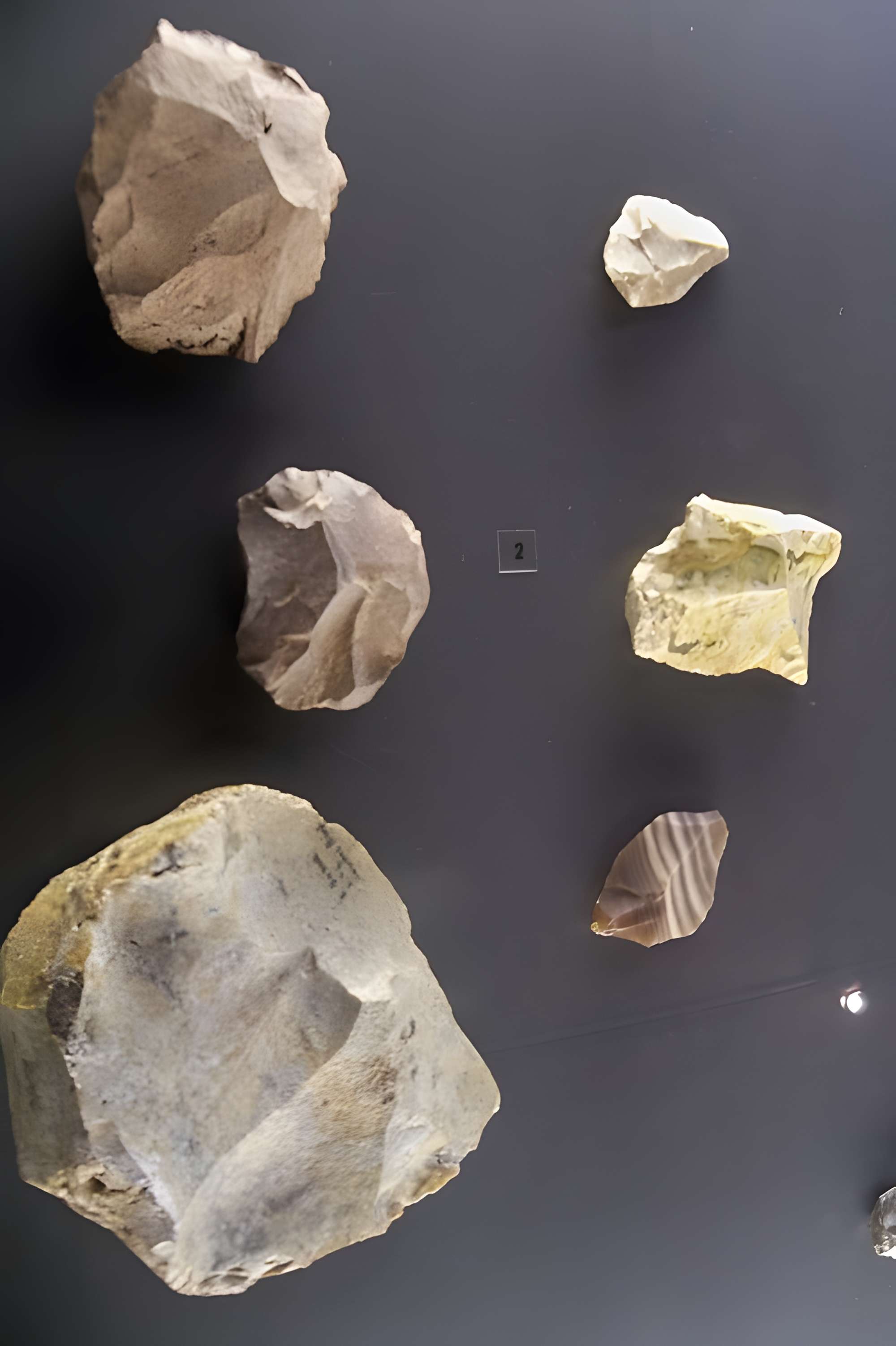 Musée départemental de préhistoire