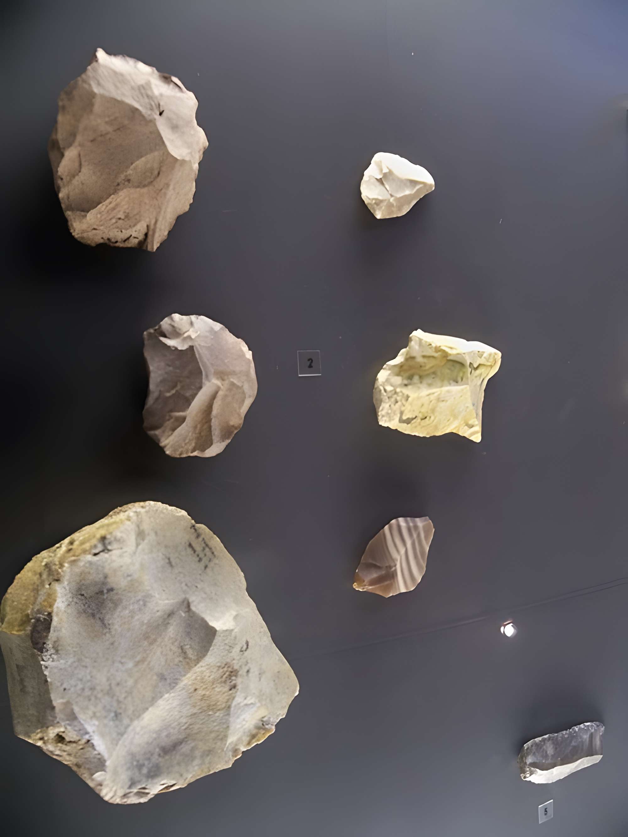 Musée départemental de préhistoire