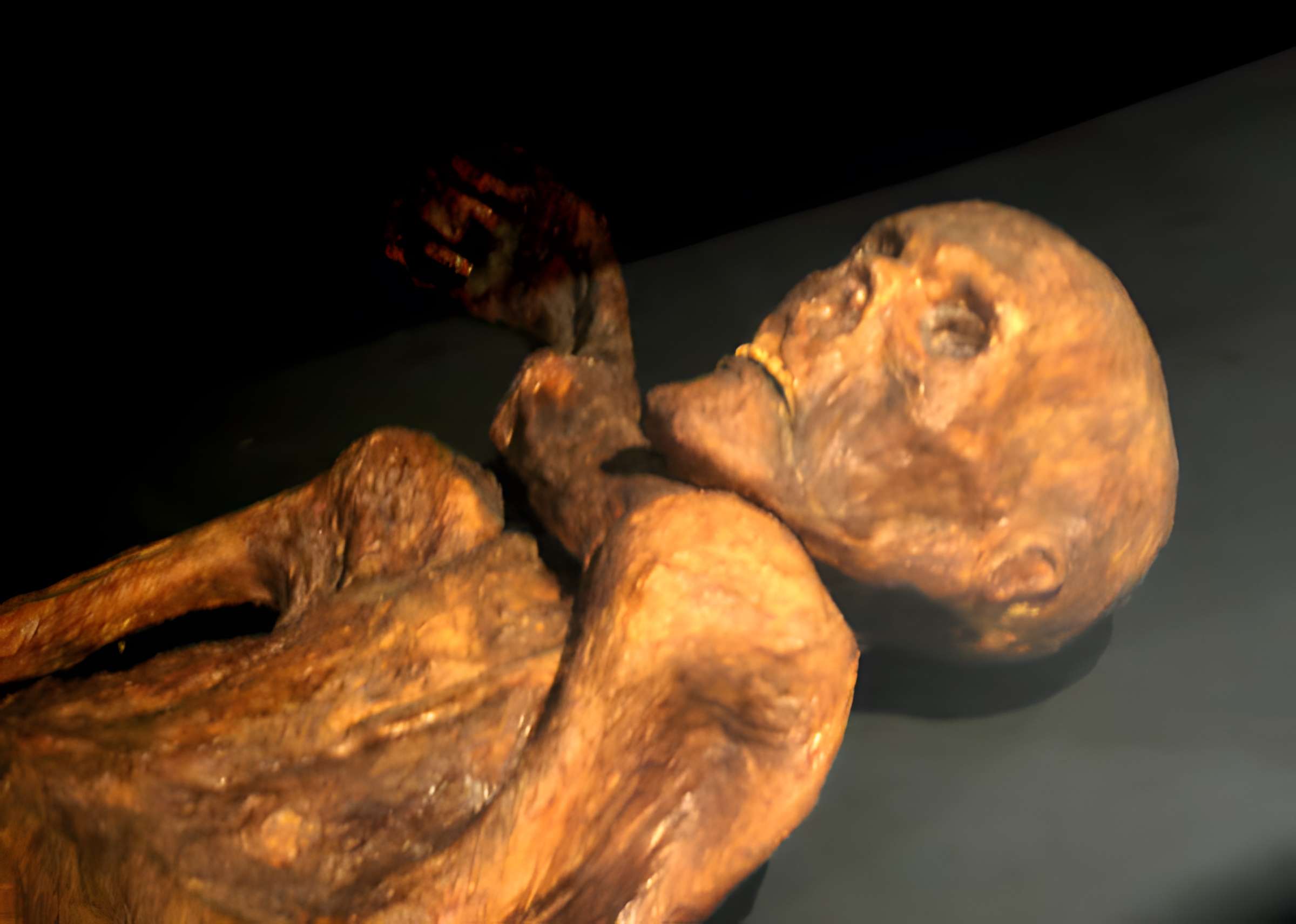 Musée départemental de préhistoire