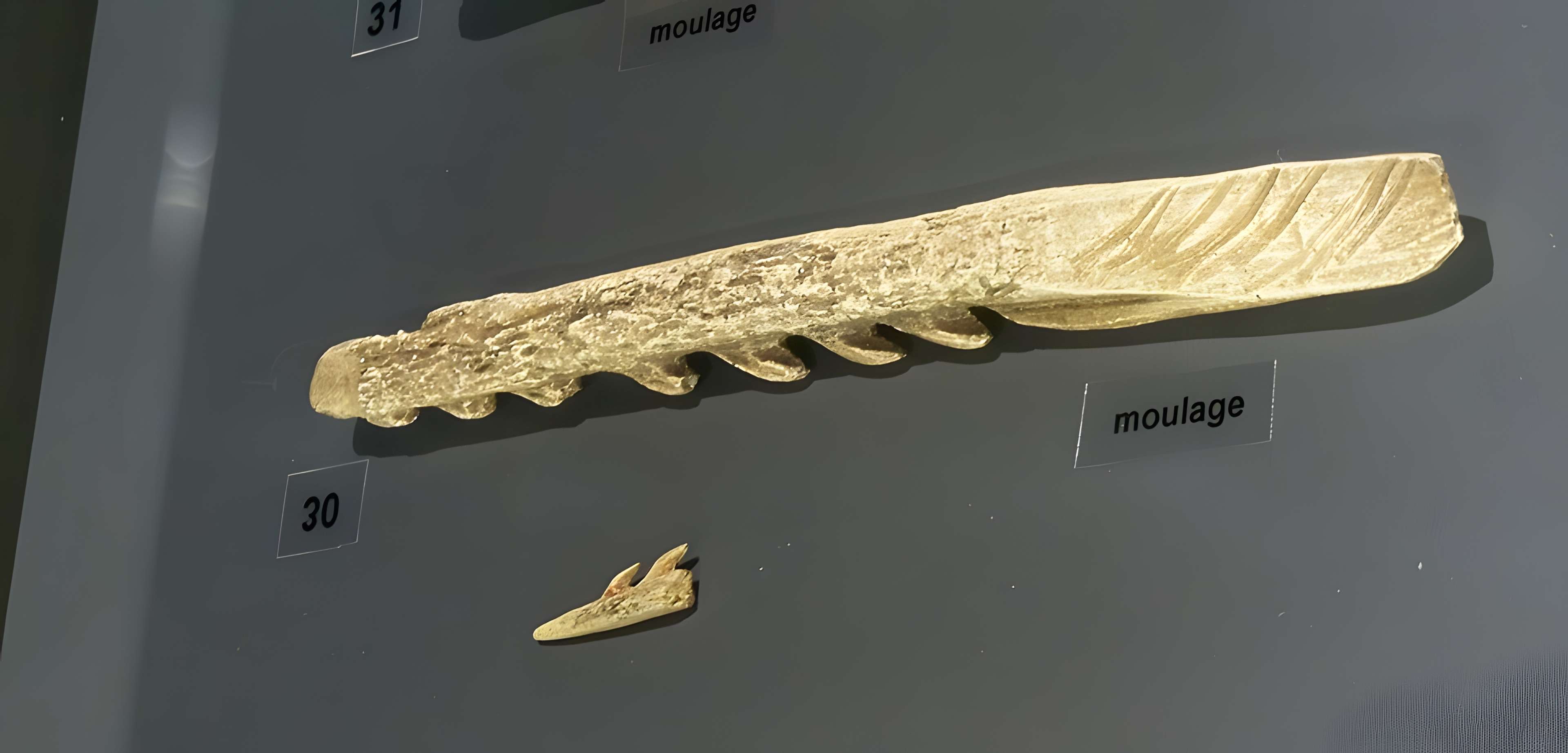 Musée départemental de préhistoire