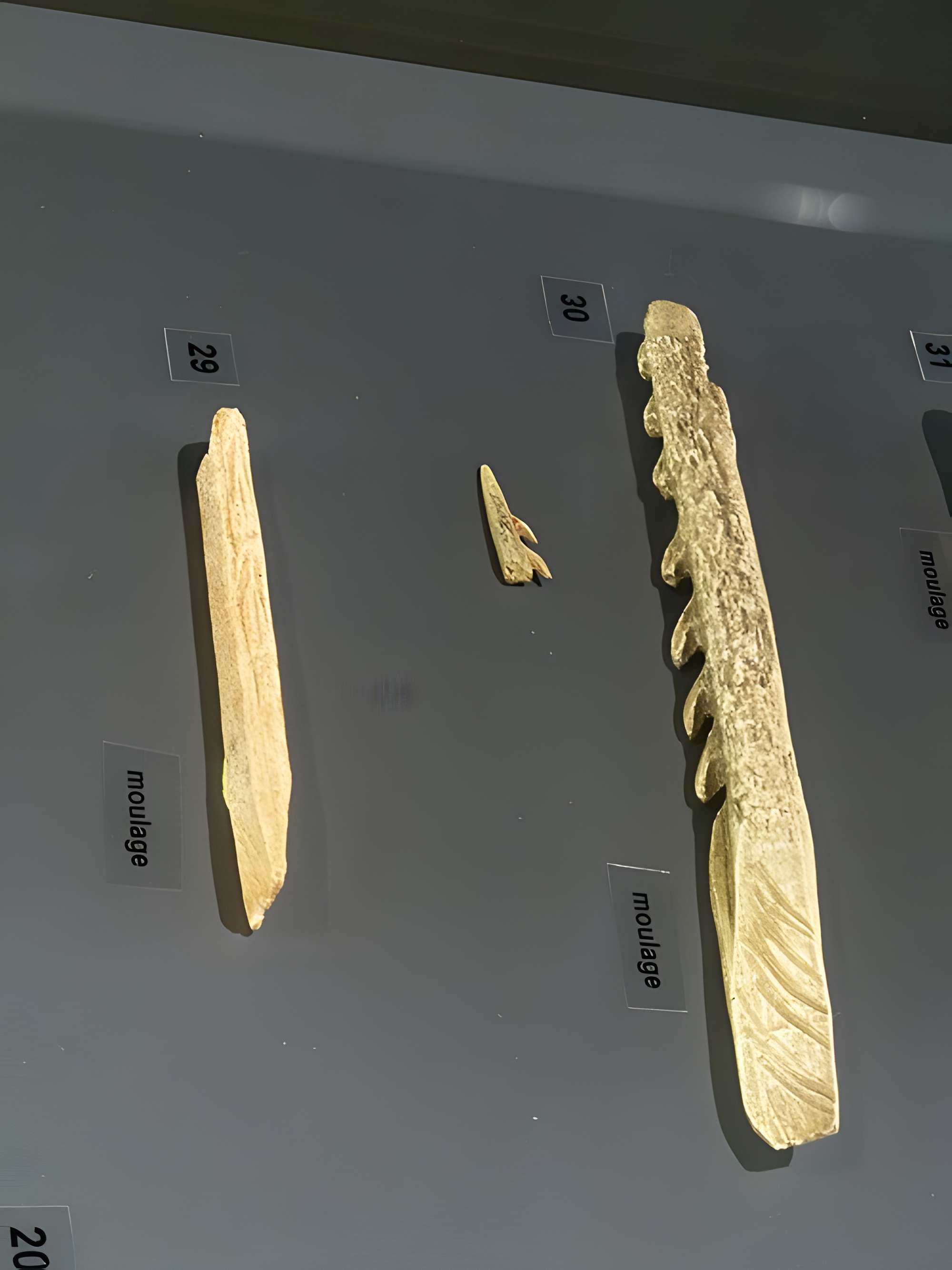 Musée départemental de préhistoire