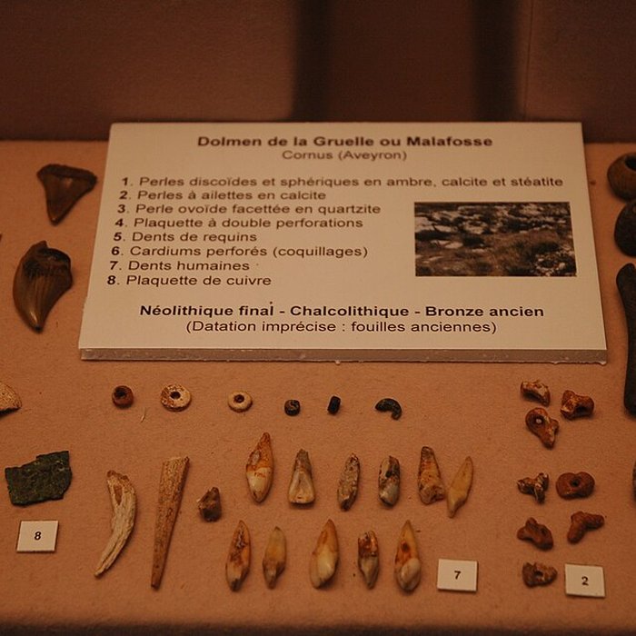 Photo de Musée départemental des Hautes-Alpes