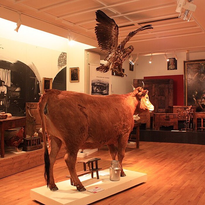 Photo de Musée départemental des Hautes-Alpes