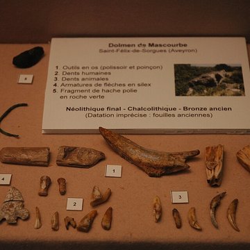 Musée départemental des Hautes-Alpes