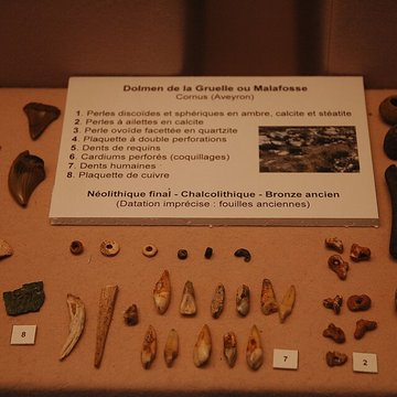 Musée départemental des Hautes-Alpes