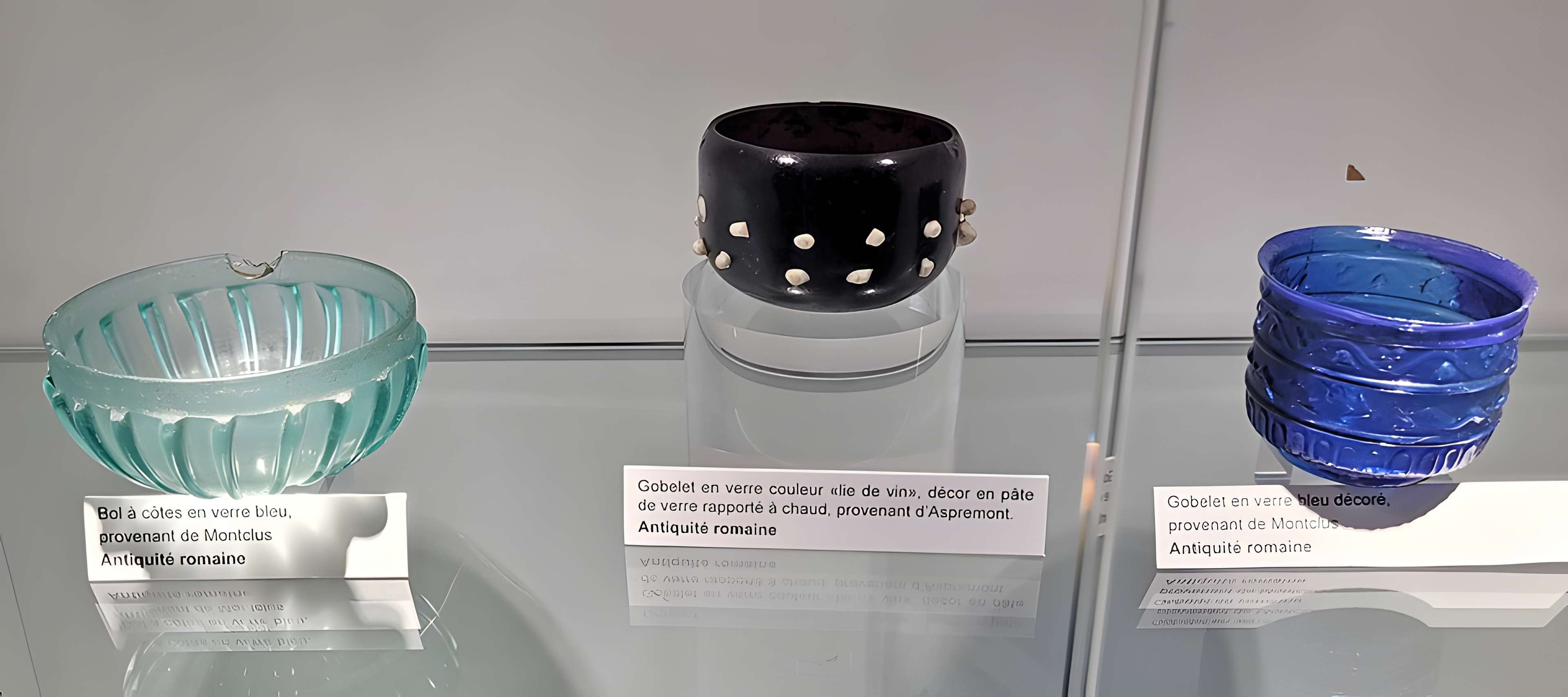 Musée départemental des Hautes-Alpes