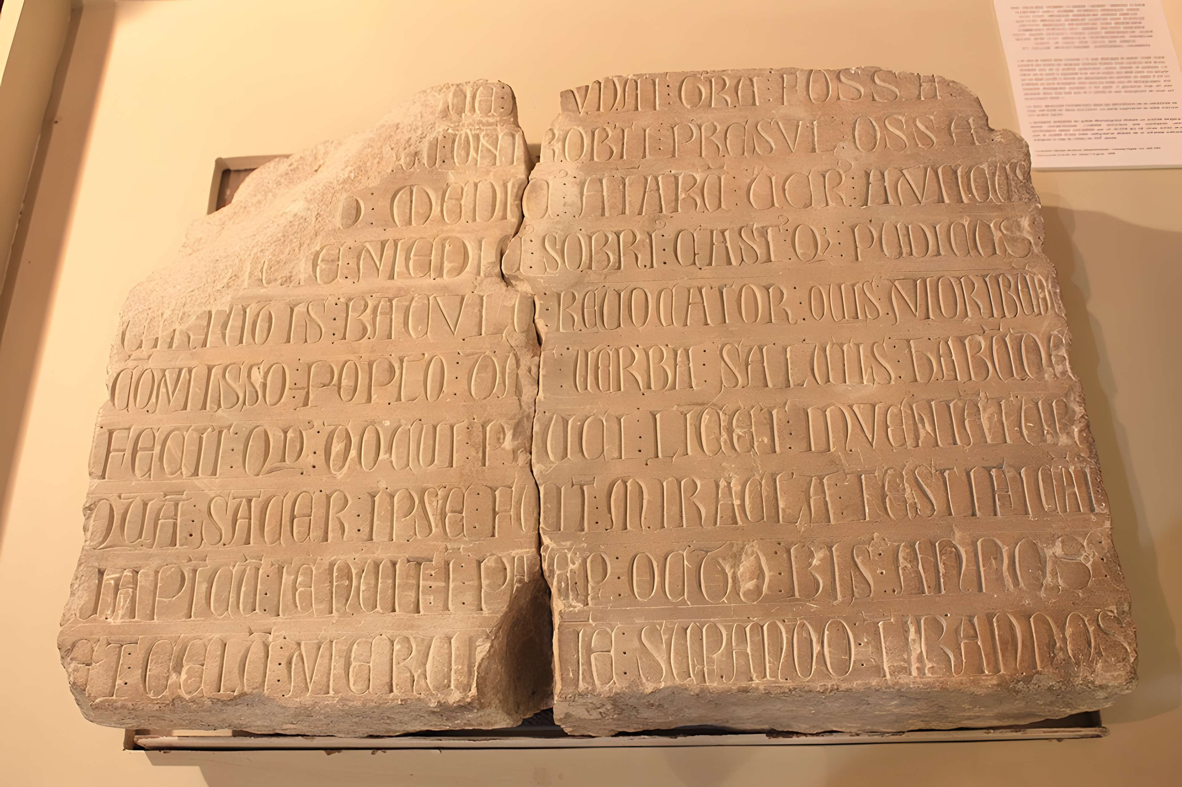 Musée départemental des Hautes-Alpes