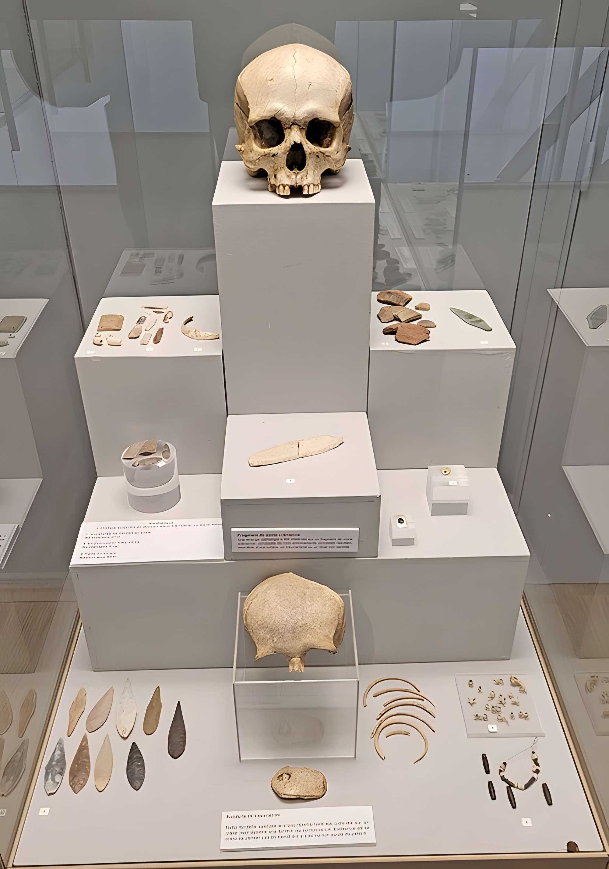 Musée départemental des Hautes-Alpes