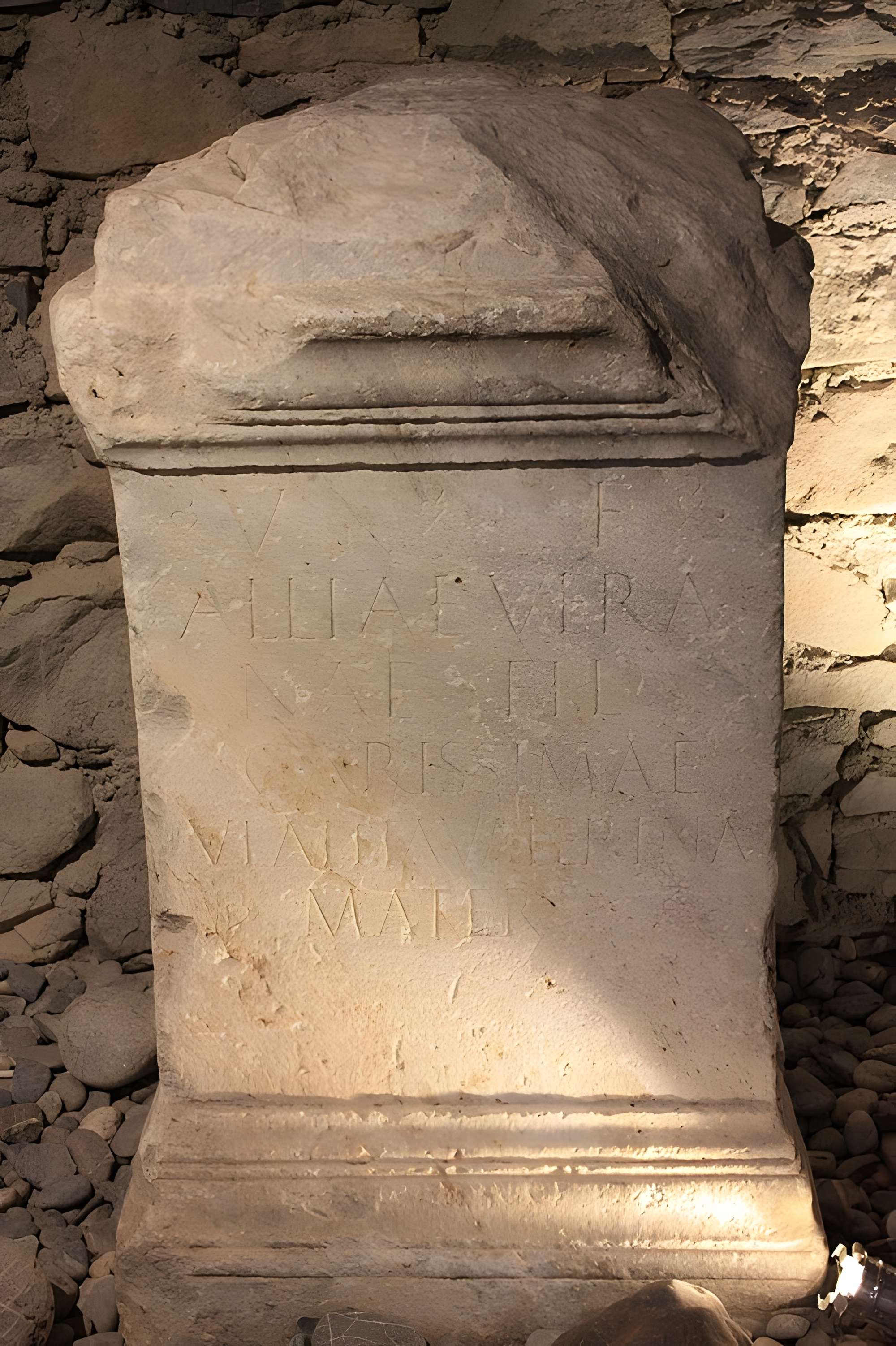 Musée départemental des Hautes-Alpes