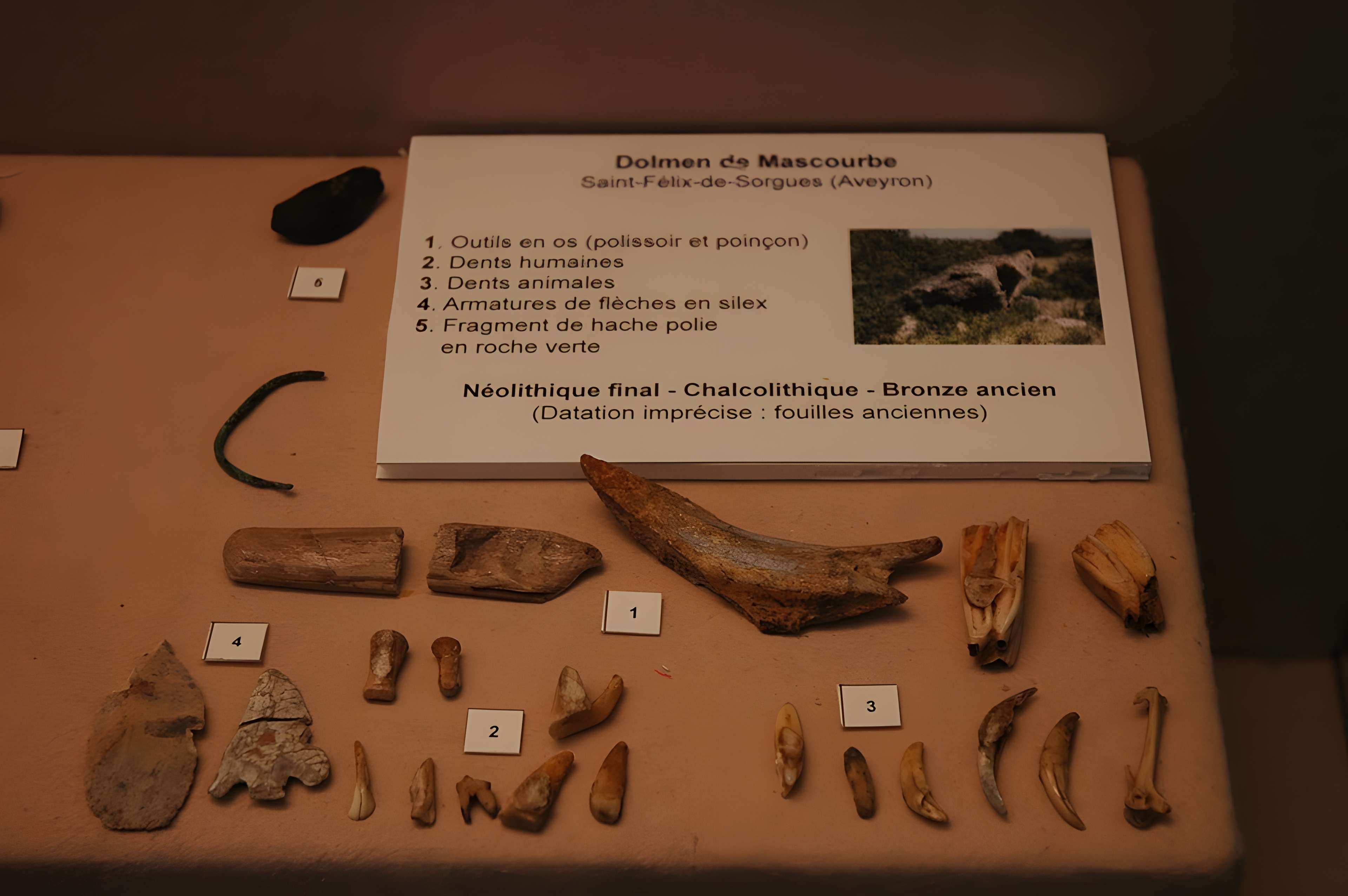 Musée départemental des Hautes-Alpes