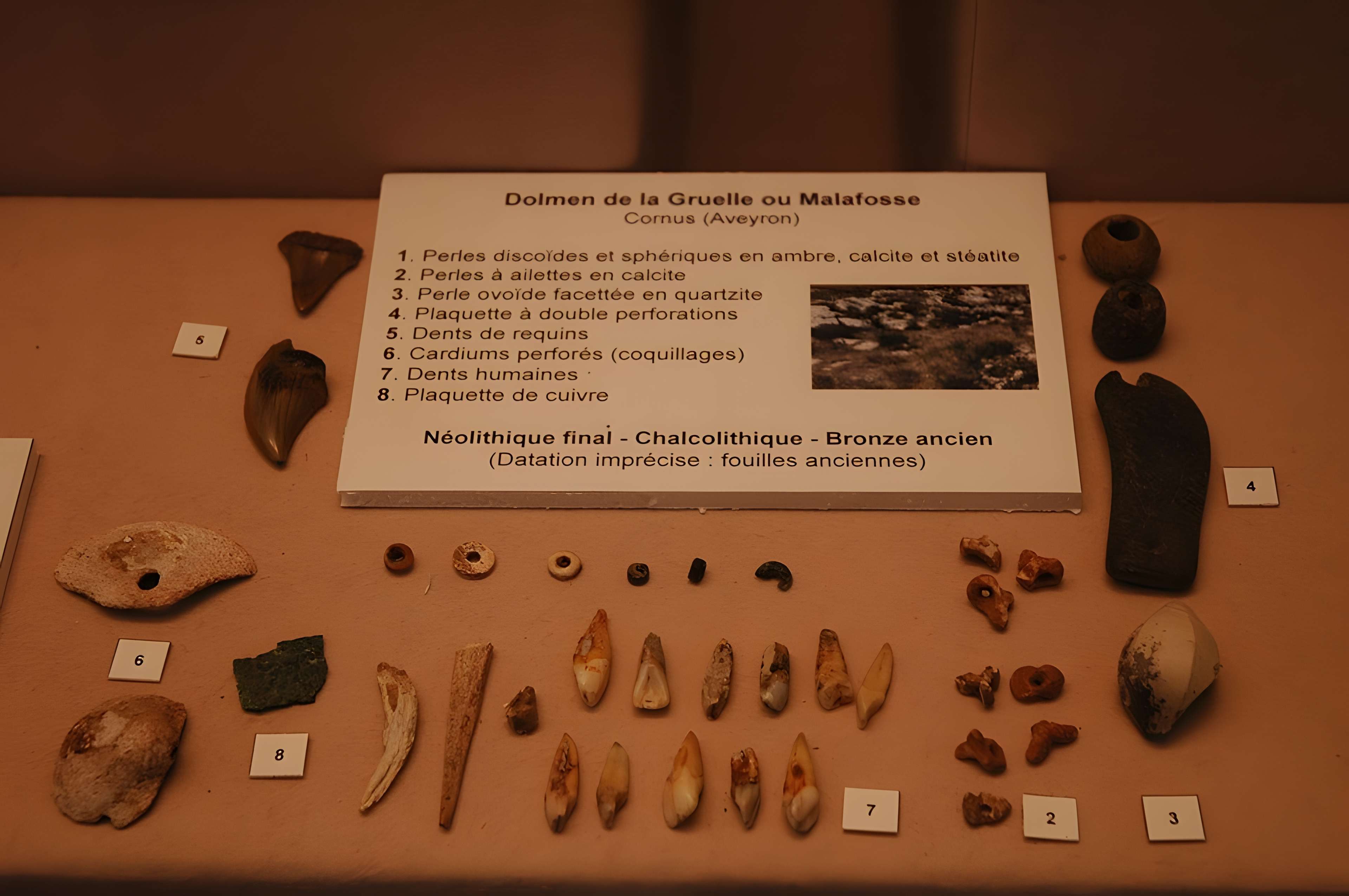 Musée départemental des Hautes-Alpes