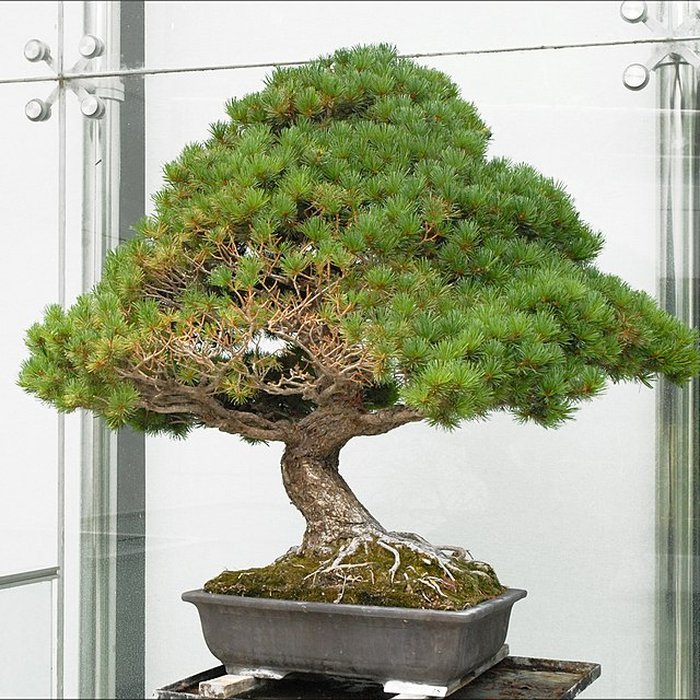 Photo de Musée départemental des arts asiatiques