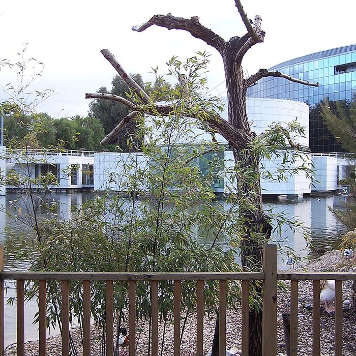 Photo de Musée départemental des arts asiatiques