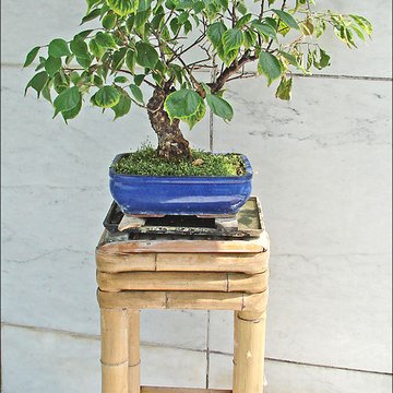 Musée départemental des arts asiatiques