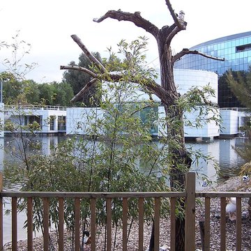 Musée départemental des arts asiatiques