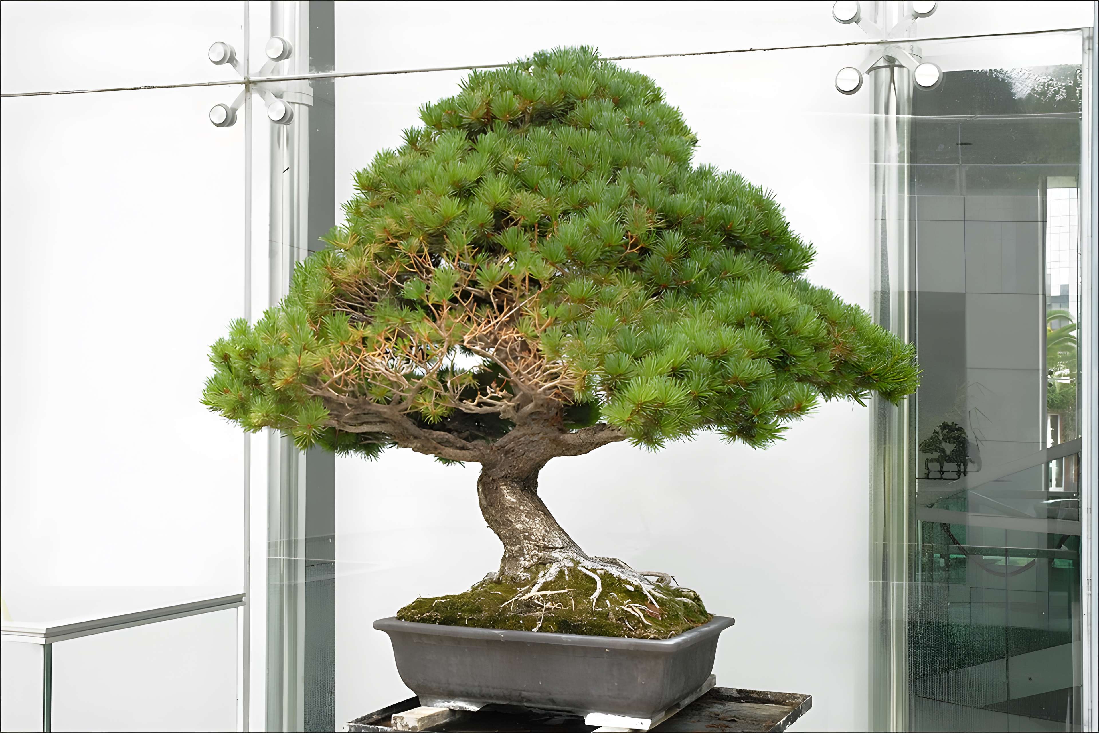 Musée départemental des arts asiatiques