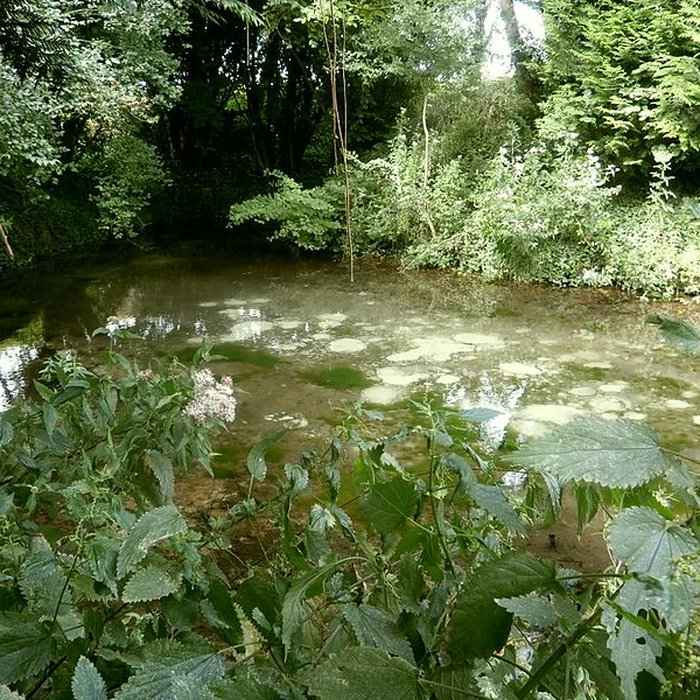Photo de Site archéologique de Cherré à Aubigné-Racan