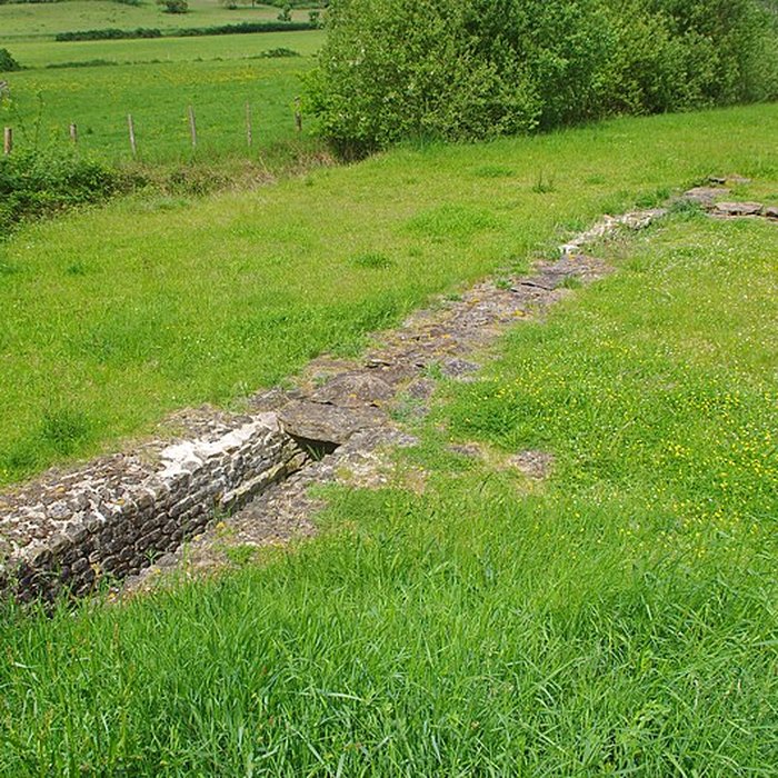 Photo de Site archéologique de Cherré à Aubigné-Racan