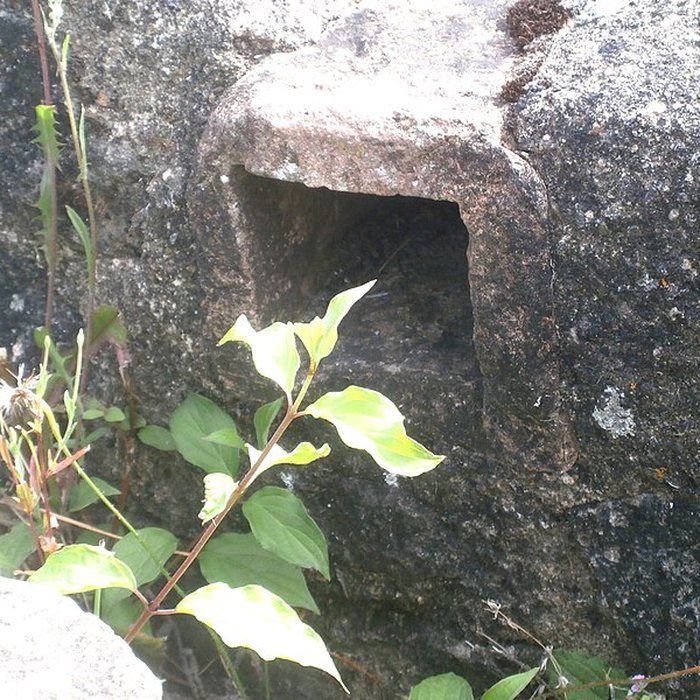 Photo de Site archéologique de Cherré à Aubigné-Racan