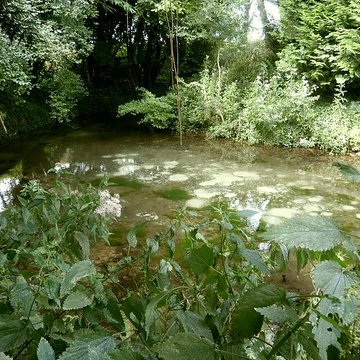 Site archéologique de Cherré à Aubigné-Racan