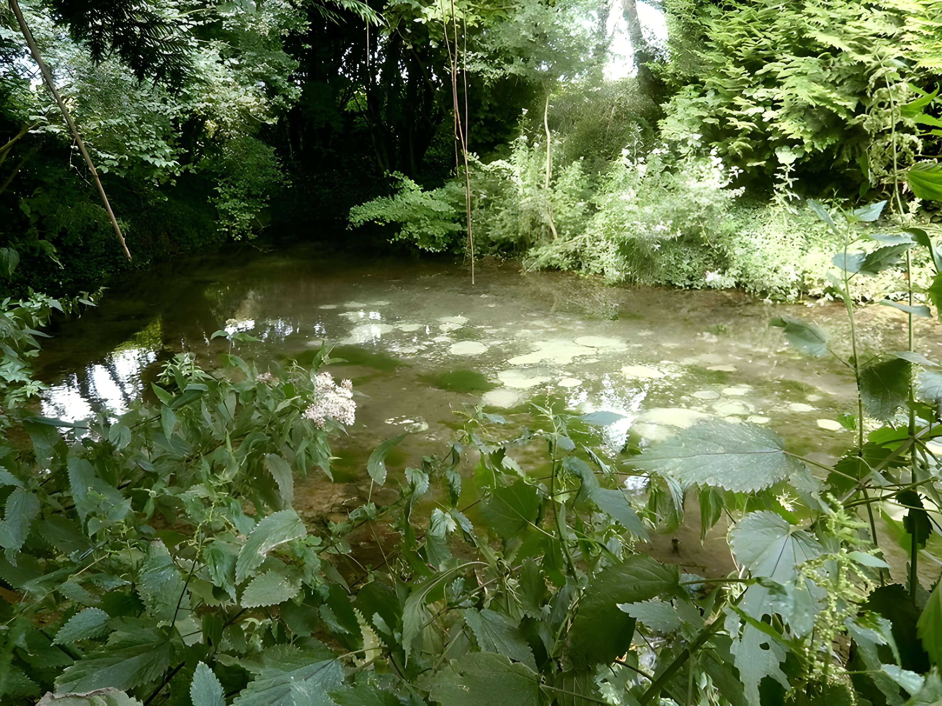 Site archéologique de Cherré à Aubigné-Racan