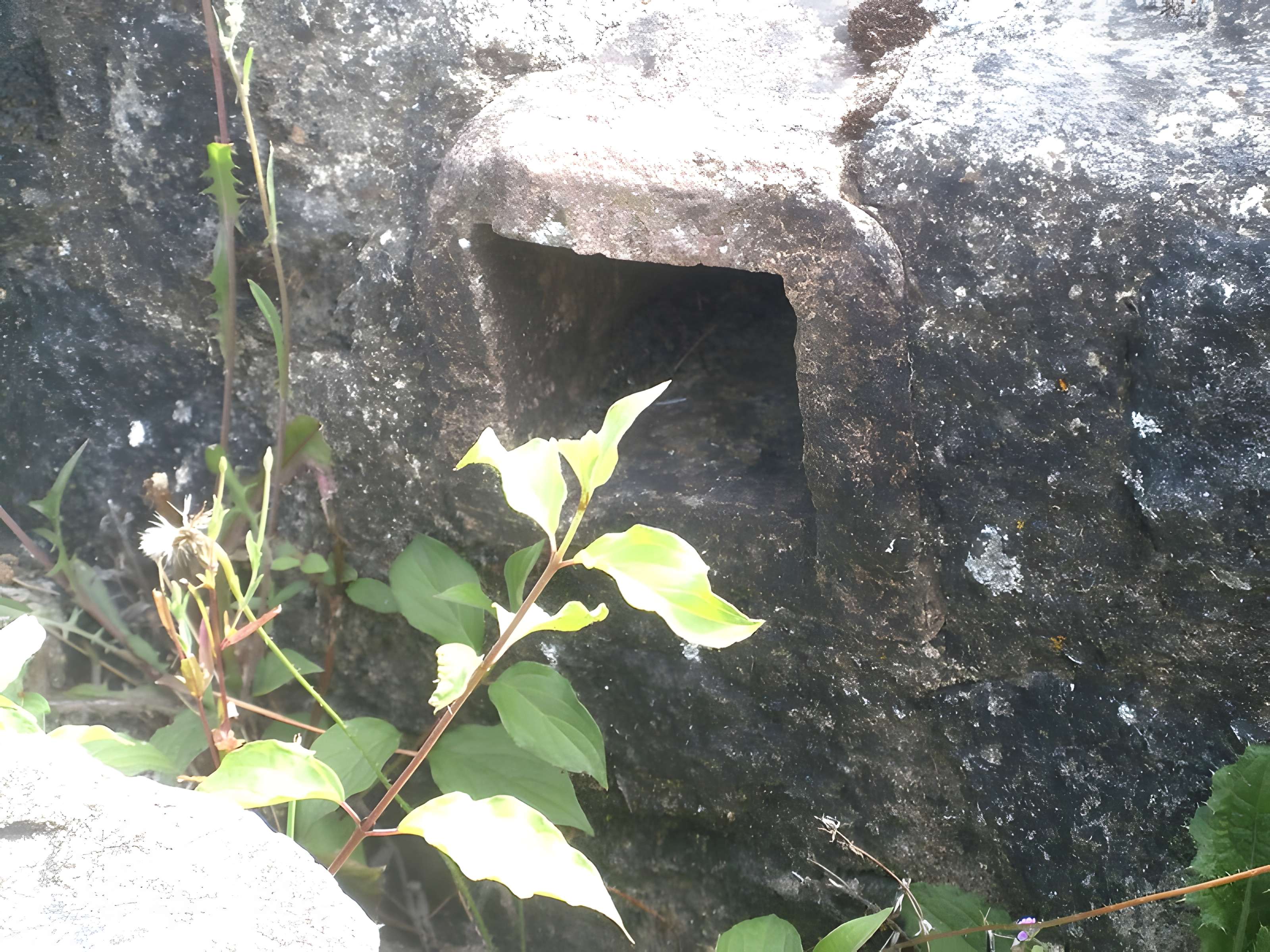 Site archéologique de Cherré à Aubigné-Racan