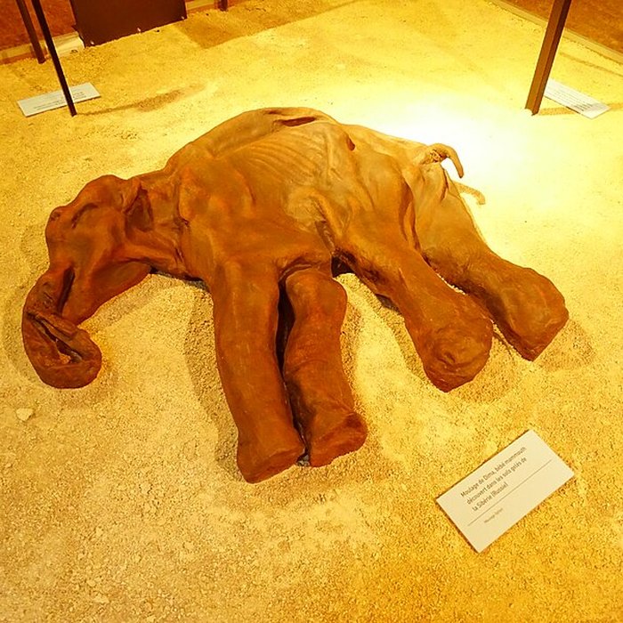 Photo de Cité de la préhistoire