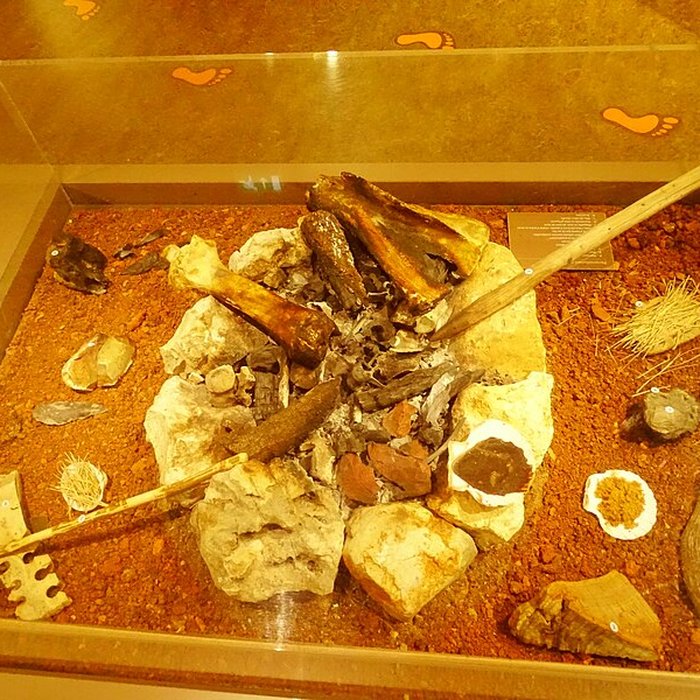 Photo de Cité de la préhistoire