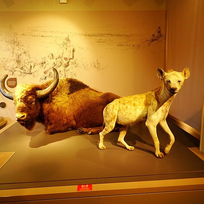 Photo de Cité de la préhistoire