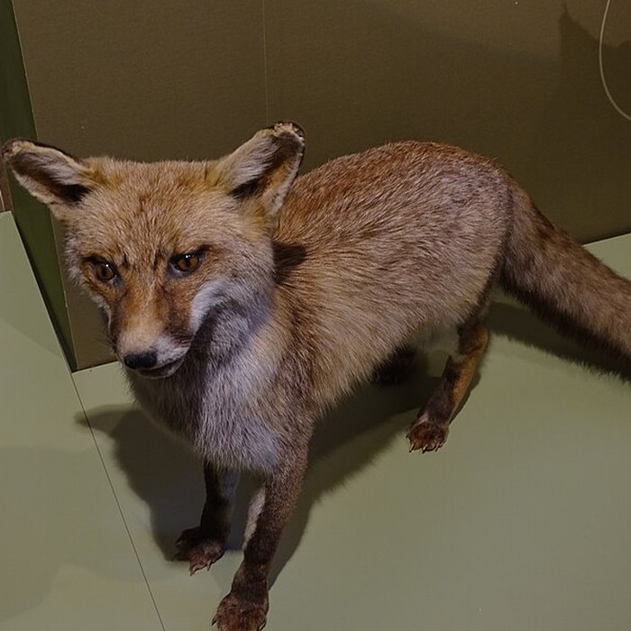 Photo de Cité de la préhistoire